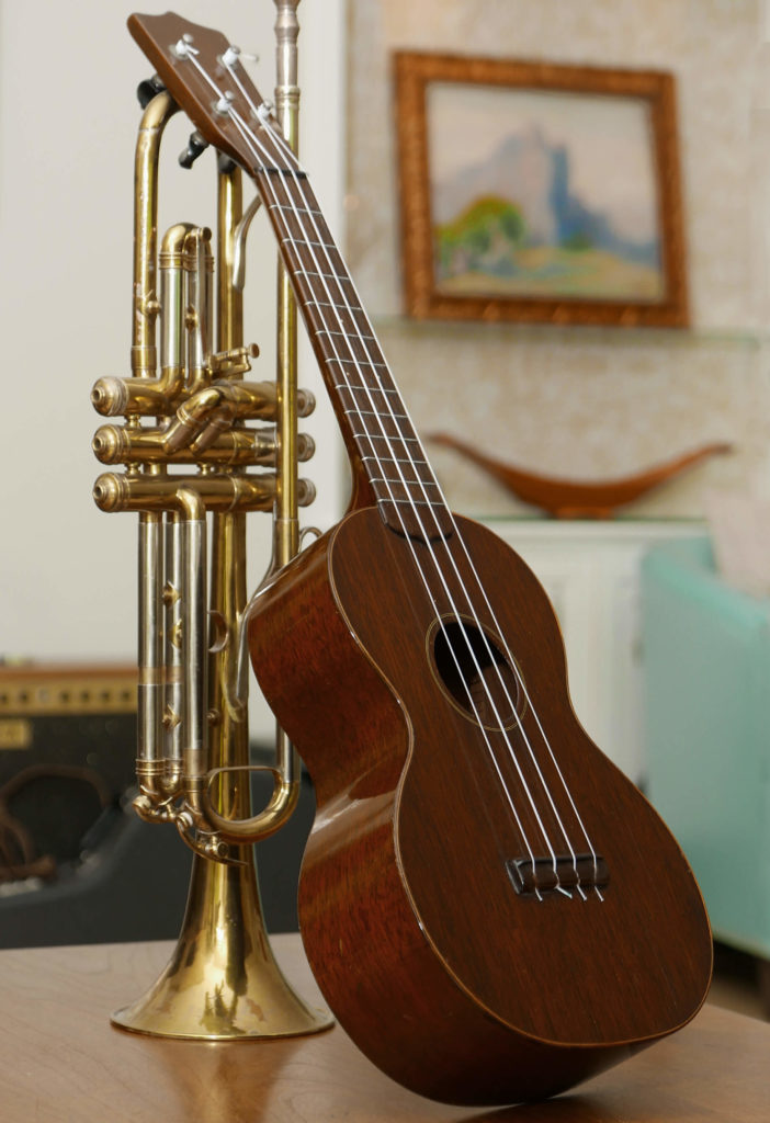 Rare 1860 1880 Seidel Tuners (for Martin) Vintage American Guitar